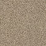 Acadia Park Canoe swatch