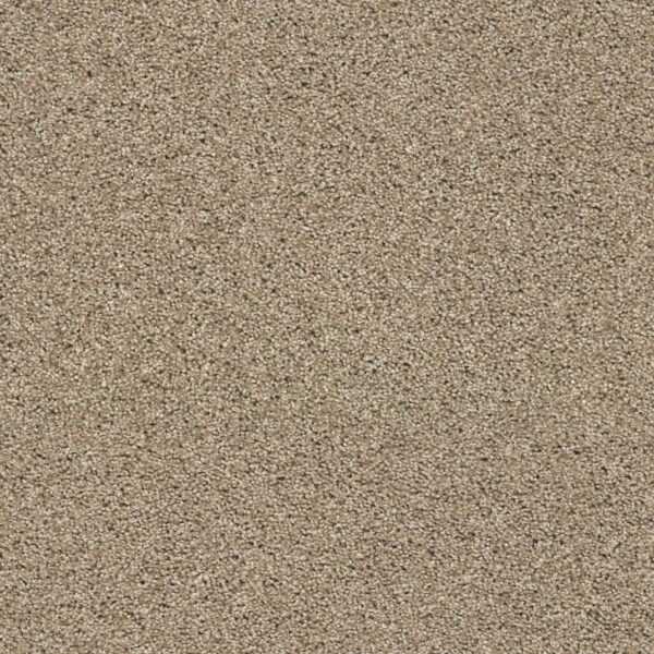 Acadia Park Canoe Swatch