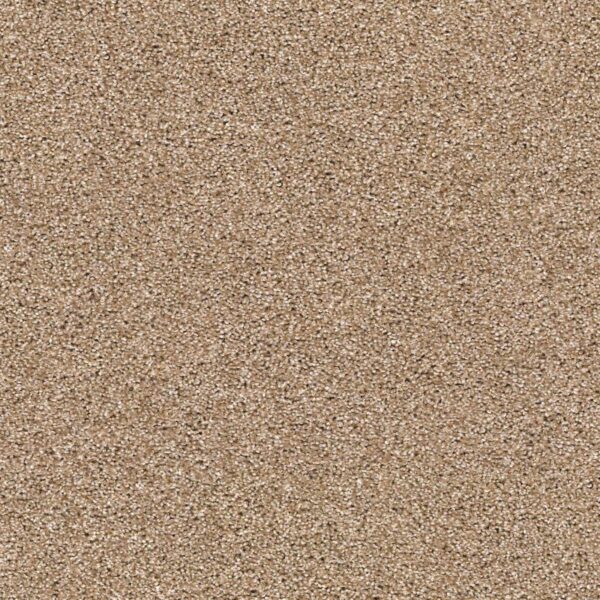 Acadia Park Canyon Trail Swatch