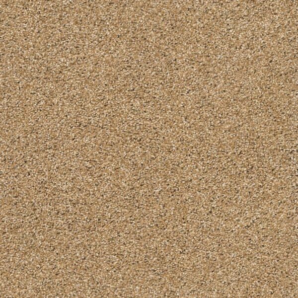 Acadia Park Caramelo Swatch Acadia Park Caramelo Swatch