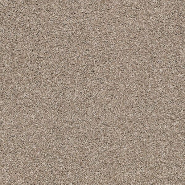 Acadia Park Caribu Swatch