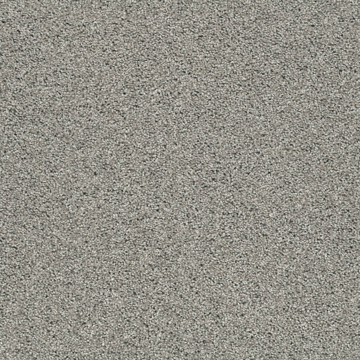 Acadia Park Carpet