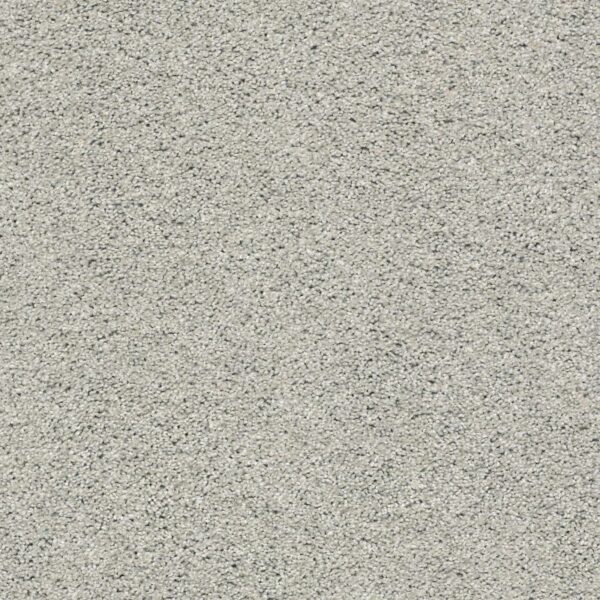 Acadia Park Celtic Swatch Acadia Park Celtic Swatch