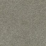 Acadia Park City Gray swatch
