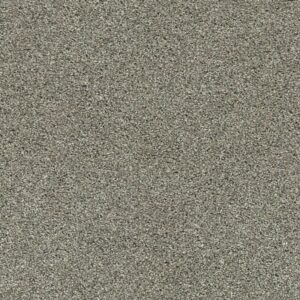 Acadia Park City Gray