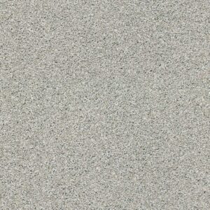 Acadia Park Classic Stone