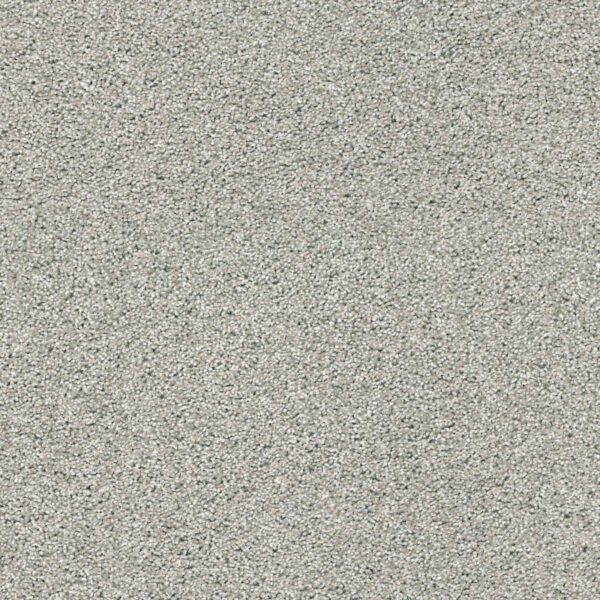 Acadia Park Classic Stone Swatch