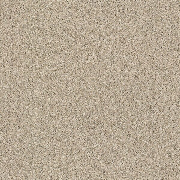 Acadia Park Clay Swatch