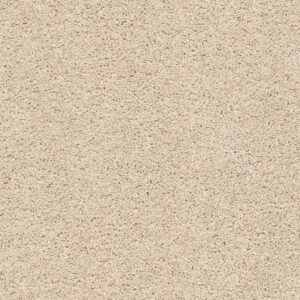 Acadia Park Delicate Swatch