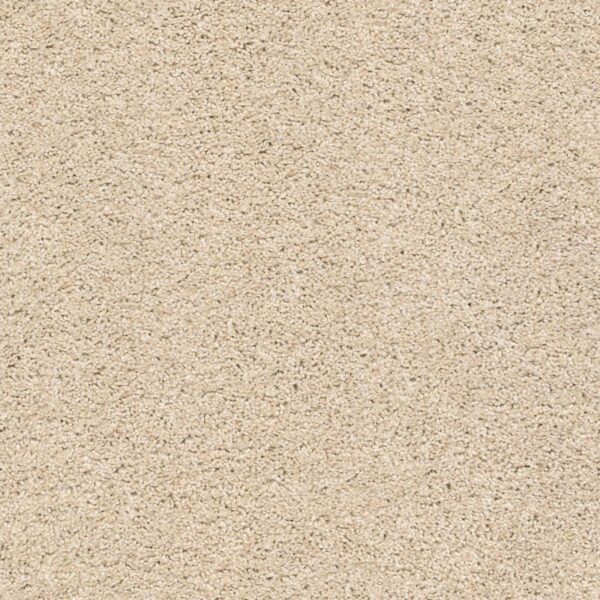 Acadia Park Delicate Swatch Acadia Park Delicate Swatch