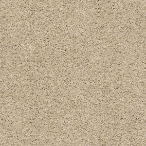 Acadia Park Dhurrie Swatch