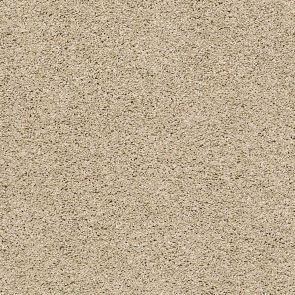 Acadia Park Dhurrie Swatch