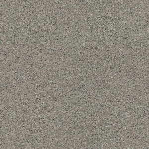 Acadia Park Elusive Product Swatch