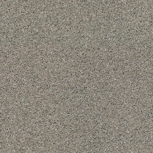 Acadia Park Elusive Product Swatch