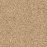 Acadia Park Farro swatch