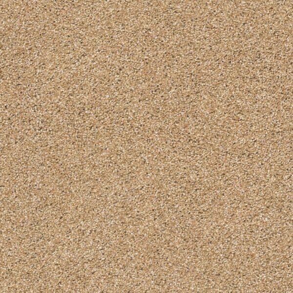 Acadia Park Farro Swatch Acadia Park Farro Swatch