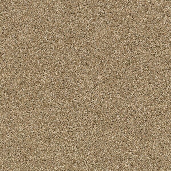 Acadia Park Lodge Swatch