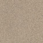 Acadia Park Mushroom swatch