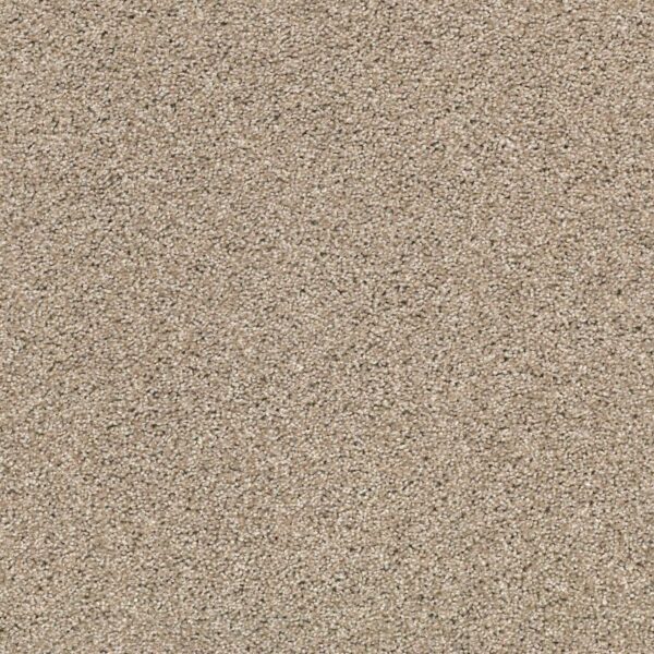 Acadia Park Mushroom Swatch Acadia Park Mushroom Swatch