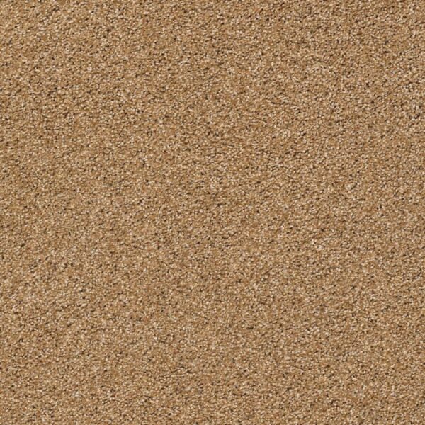 Acadia Park Saddie Swatch