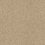 Acadia Park Serengeti swatch