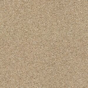 Acadia Park Serengeti