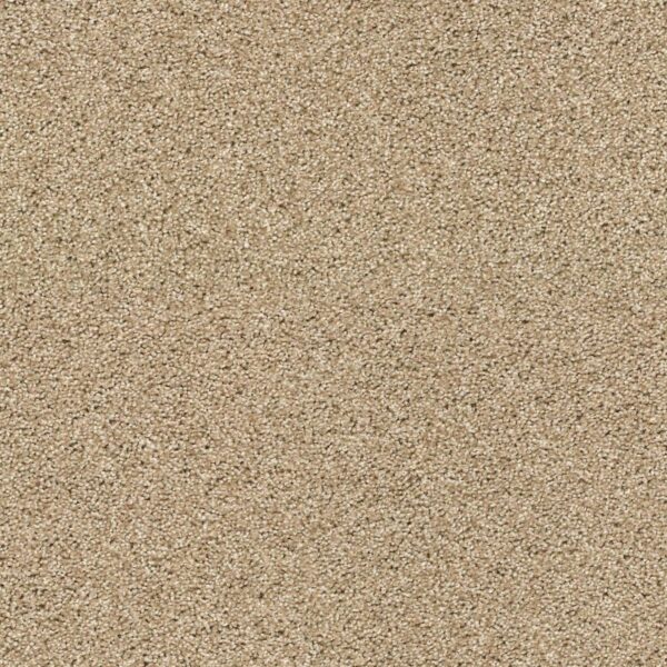 Acadia Park Serengeti Swatch Acadia Park Serengeti Swatch