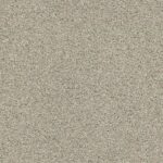 Acadia Park Shadow swatch