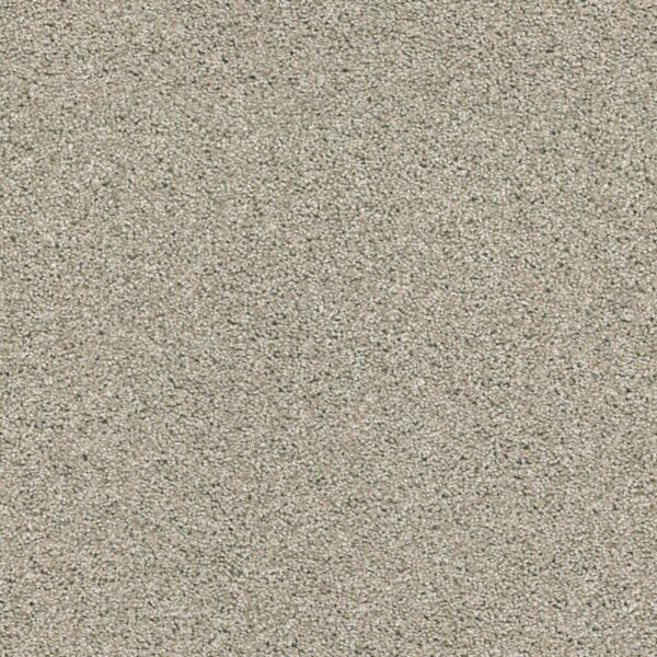 Acadia Park Shadow Swatch Acadia Park Shadow Swatch