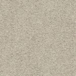 Acadia Park Shale swatch