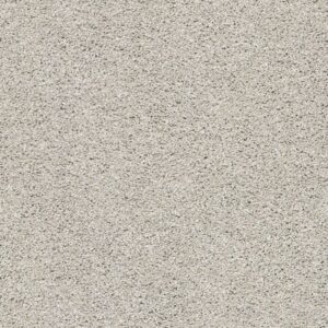 Acadia Park Silver Screen