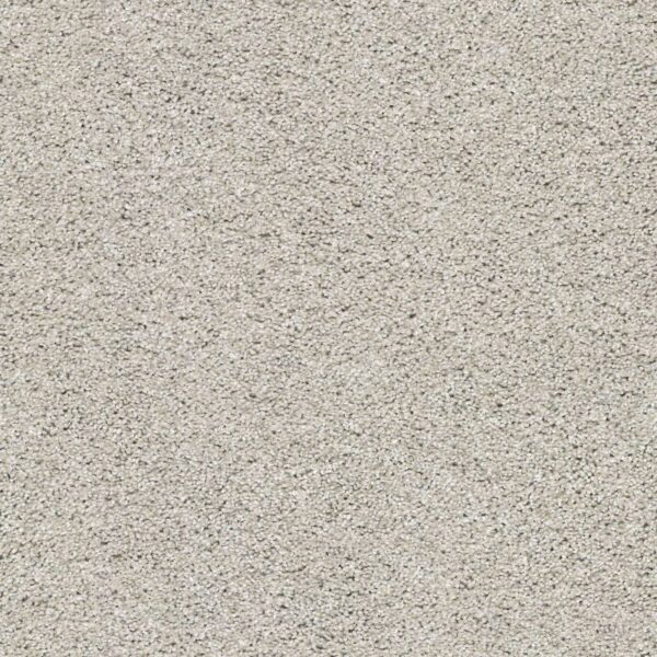 Acadia Park Silver Screen Swatch