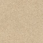 Acadia Park Softer Tan swatch