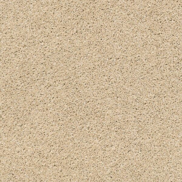 Acadia Park Softer Tan Swatch