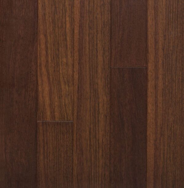 Passport Solid Brazilian Cherry - Earth Swatch Passport Solid Brazilian Cherry - Earth Swatch