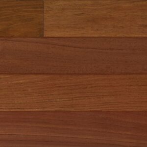 Passport Solid Brazilian Cherry