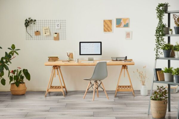 Smithcliffs Avery Ash 3