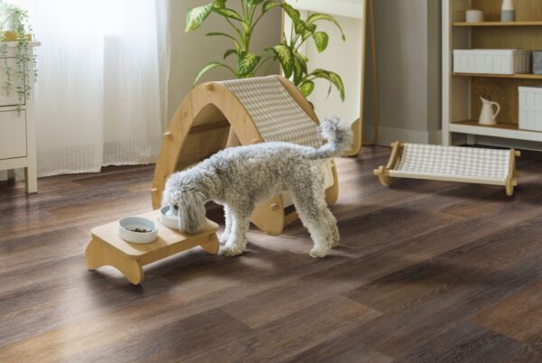 Smithcliffs Hillsdale 2